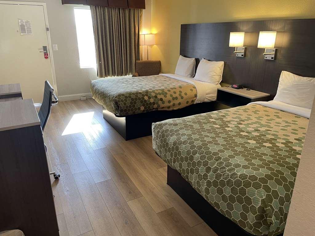 Econo Lodge White Pine Morristown I-81 & I-40 Split Стая снимка